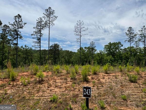 LOT 243 Spear Point Drive, Talking Rock, GA 30175