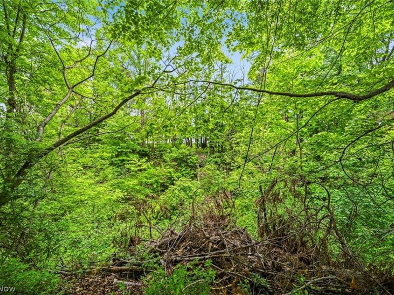 331 Dibble Road , Conneaut, OH 44030 Photo 13