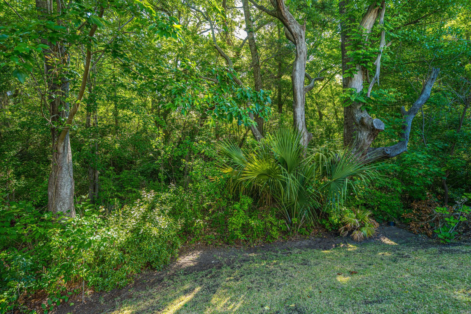 2008 Fleming Woods Road Photo 55