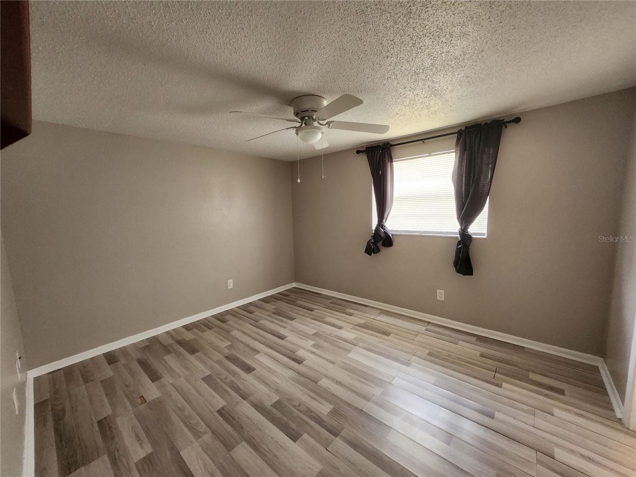 806 Walnut Drive, Seffner, FL 33584 Photo