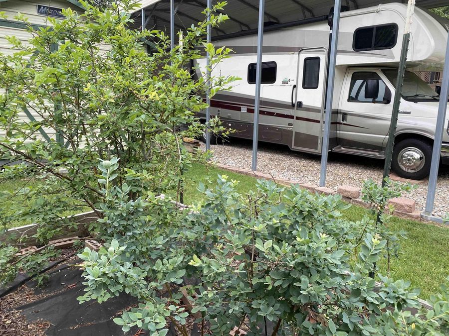 Property Image 42