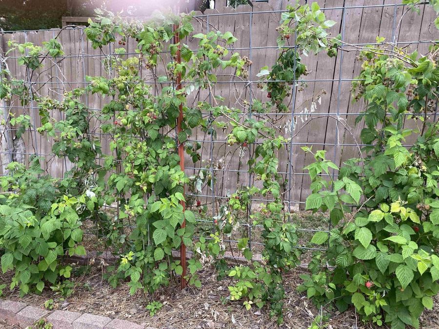 Property Image 44