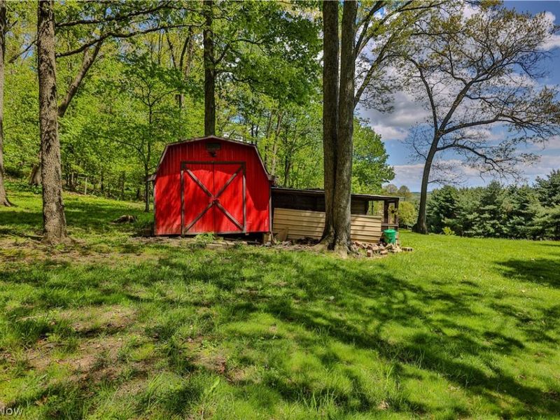 11154 Johnsford Road SW, Beach City, OH 44608 Photo 8