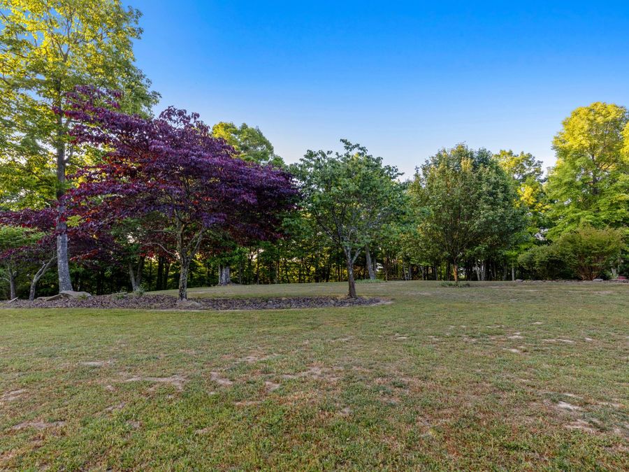 Property Image 81