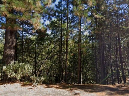 609 Canyon View Dr, Hathaway Pines, CA 95233 Photo