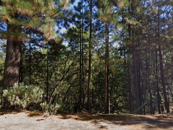 609 Canyon View Dr, Hathaway Pines, CA 95233