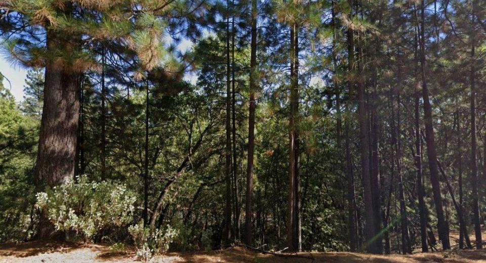 609 Canyon View Dr, Hathaway Pines, CA 95233 Photo