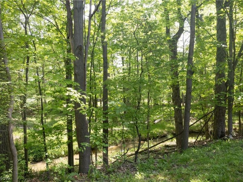 19533 Idlewood Trail, Unit 20-1, Strongsville, OH 44149 Photo 46