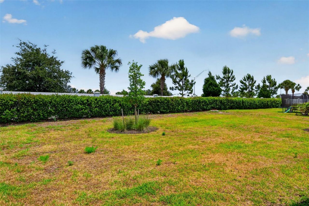 17510 Savory Mist Circle, Bradenton, FL 34211 Photo