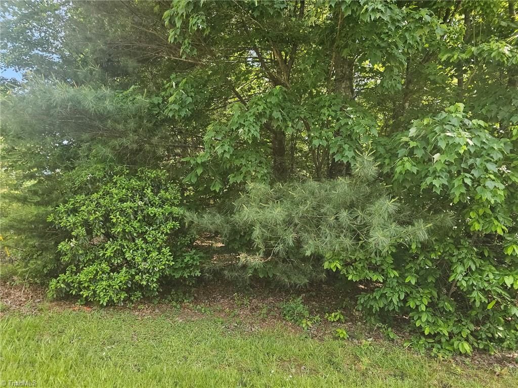 Lot 1 Ashland Lane, Wilkesboro, NC 28697 Main Photo