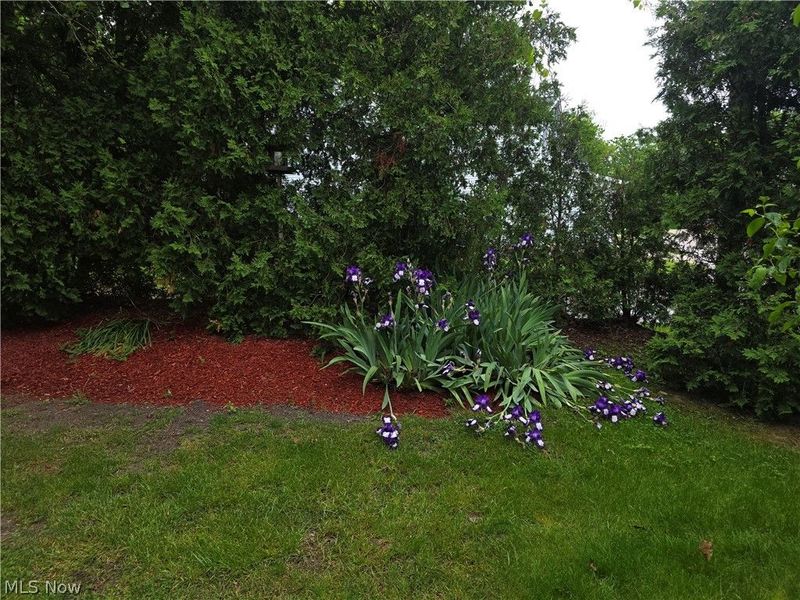 6783 Kirkwood Drive, Mentor, OH 44060 Photo 29