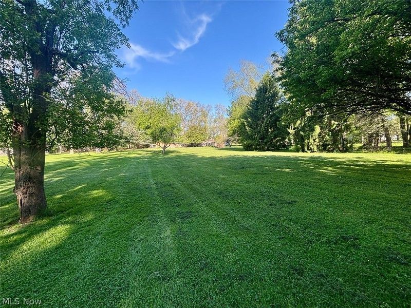 1591 Elberta Avenue SW, North Canton, OH 44709 Photo 5