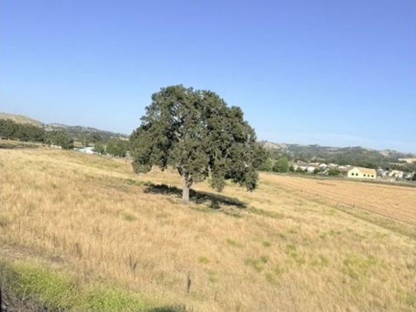301 North Main Street, Templeton, CA 93465