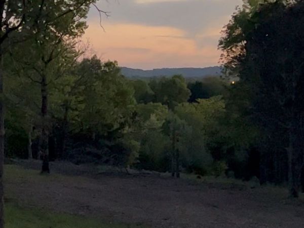 8434 Covington Rd , Eagleville, TN 37060