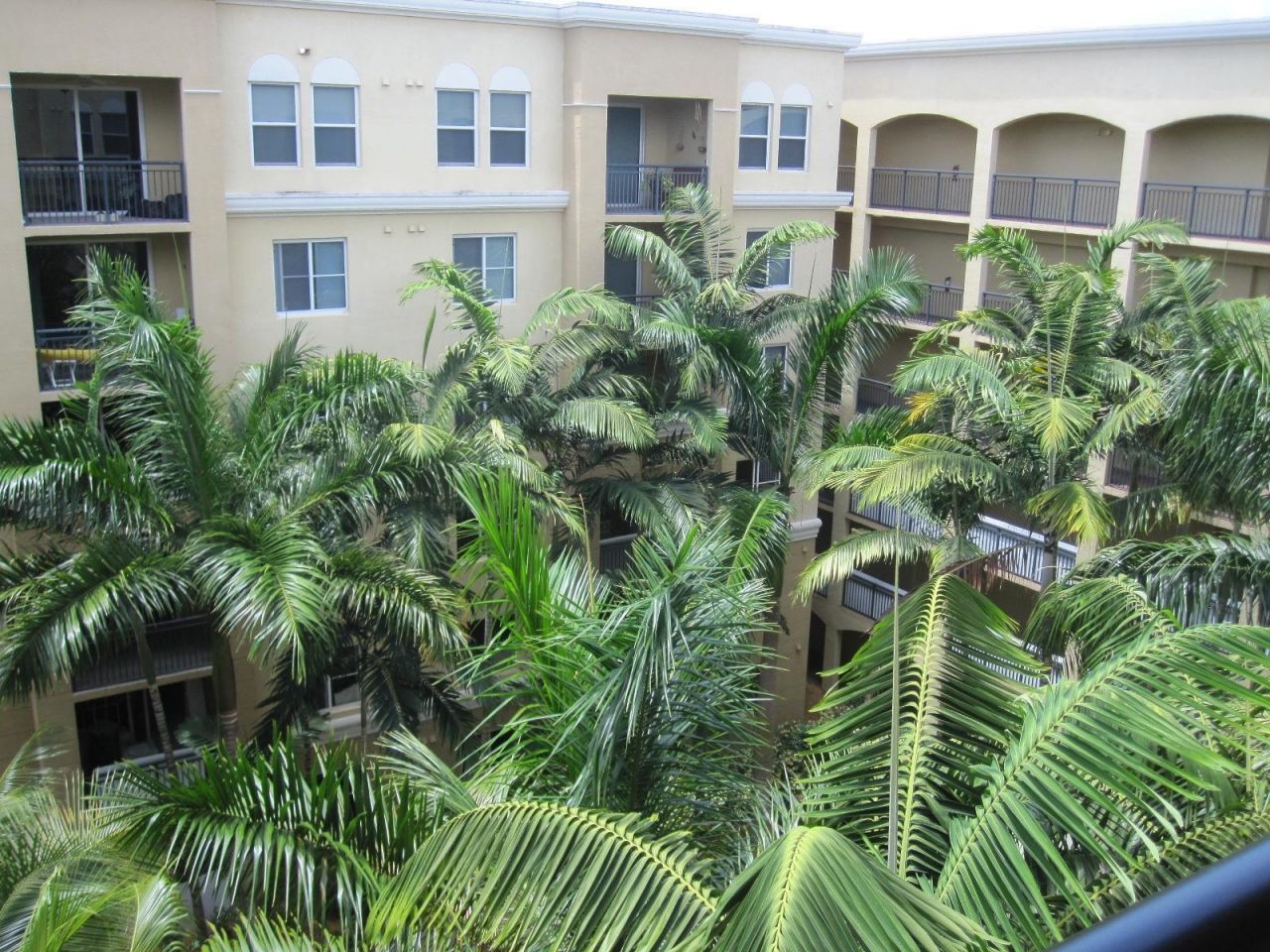 1690 Renaissance Commons Boulevard, Unit 1629, Boynton Beach, FL 33426 Photo