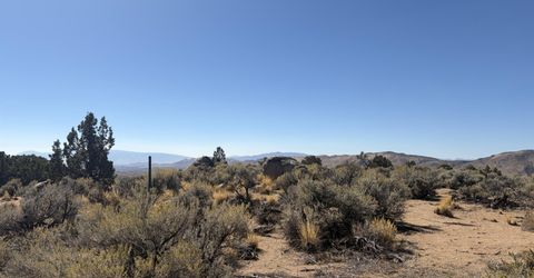 4900 Cactus Canyon Road, Reno, NV 89510 Photo