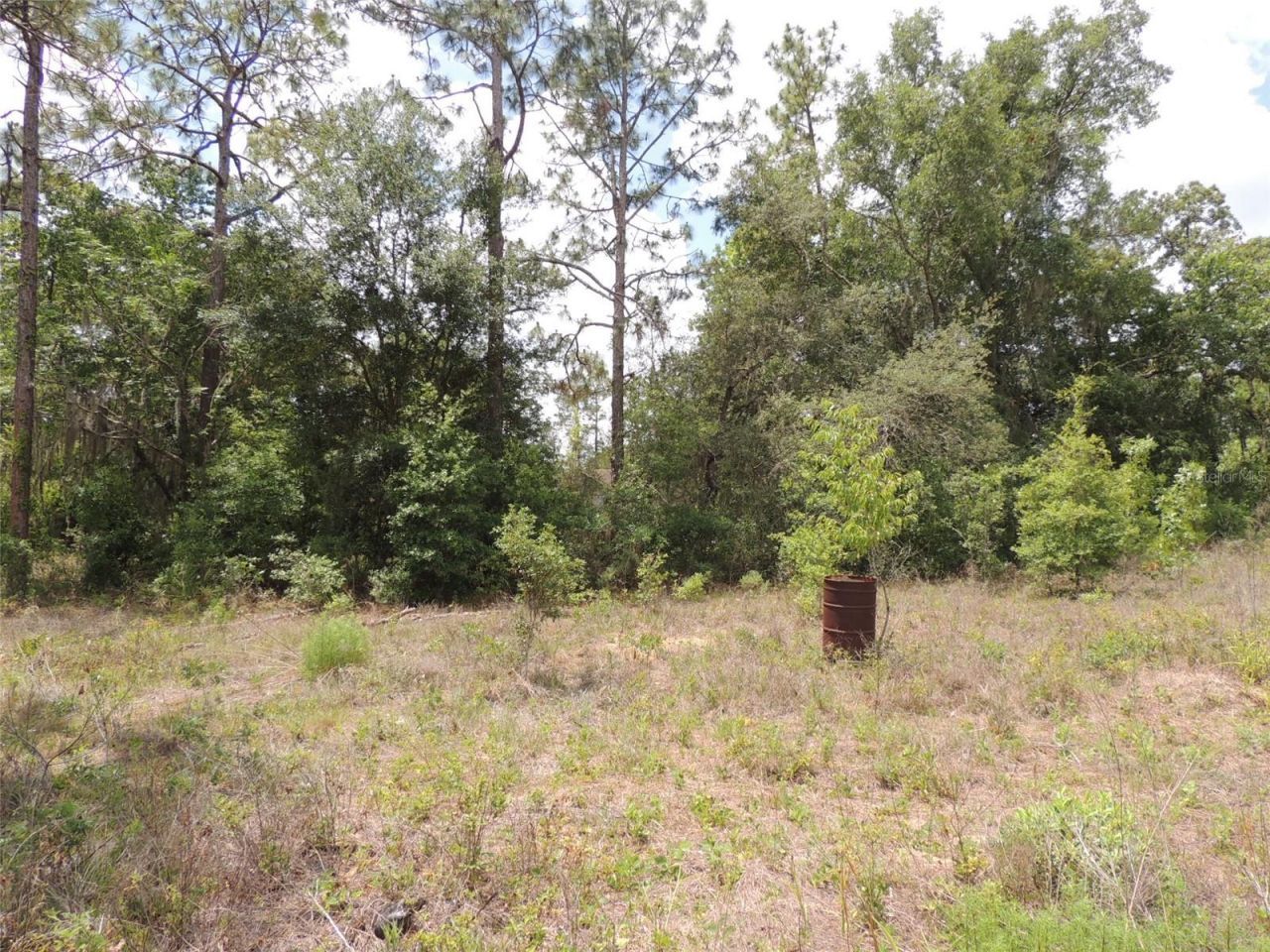 11351 SE 32nd Place , Morriston, FL 32668 Photo