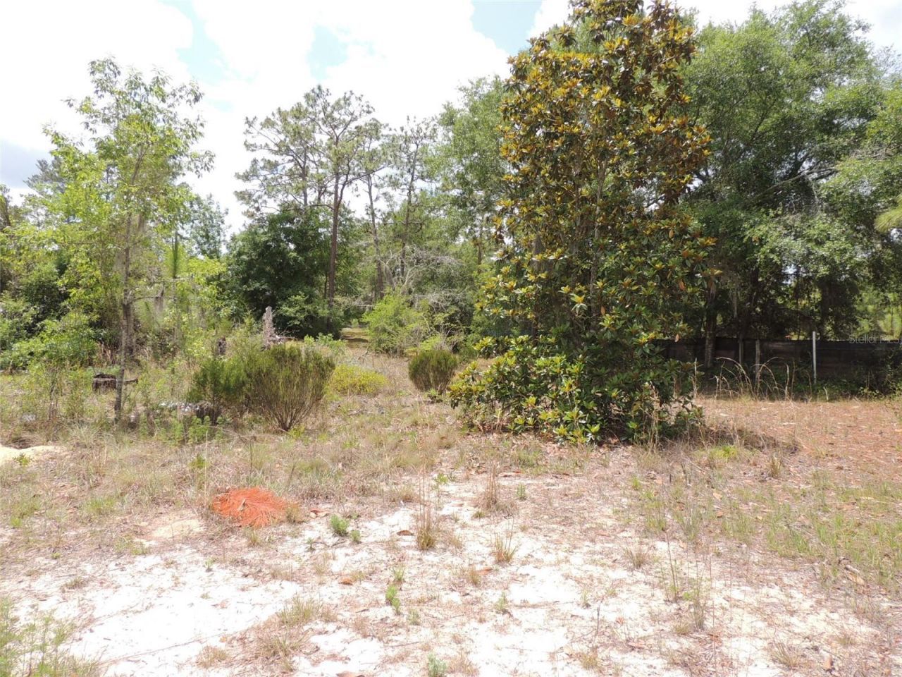 11351 SE 32nd Place , Morriston, FL 32668 Photo