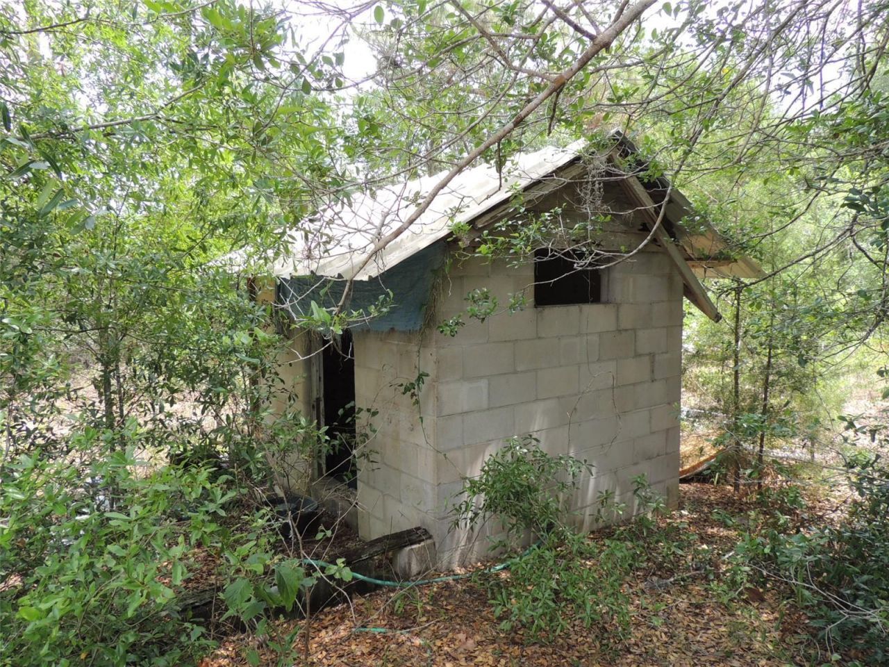 11351 SE 32nd Place , Morriston, FL 32668 Photo