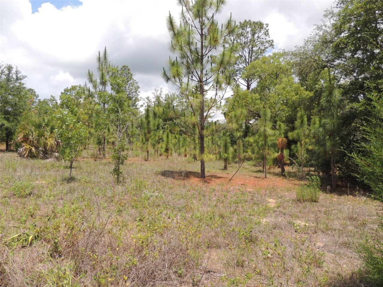 11351 SE 32nd Place , Morriston, FL 32668 Photo