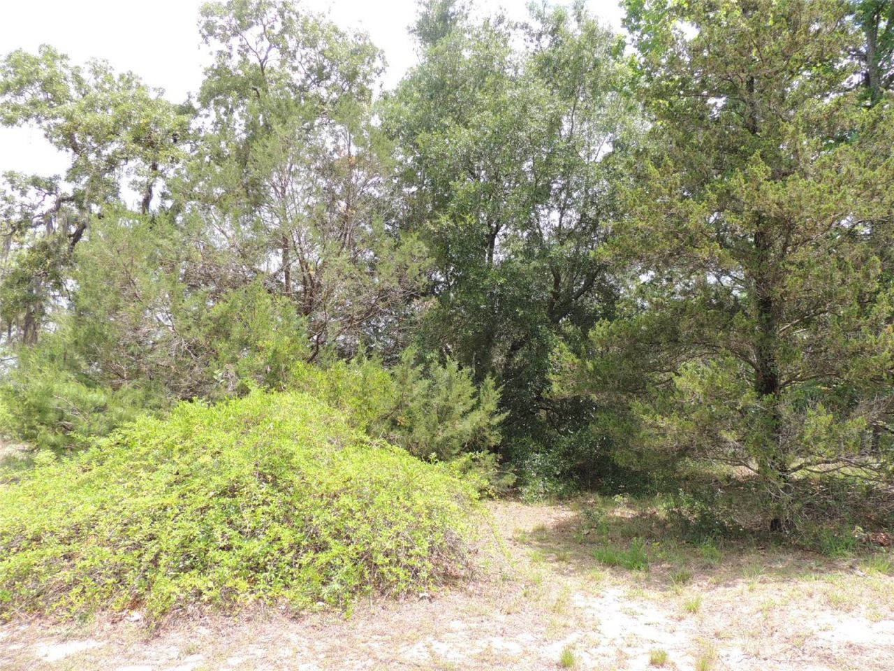 11351 SE 32nd Place , Morriston, FL 32668 Photo