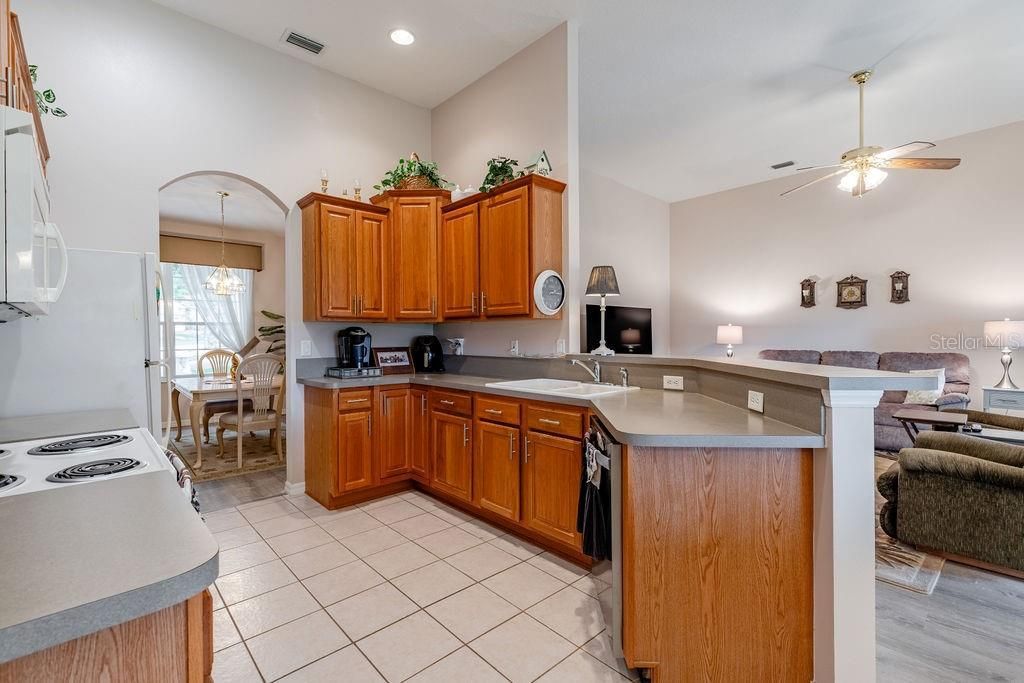 3370 Saint Lucia Court, Tavares, FL 32778 Photo