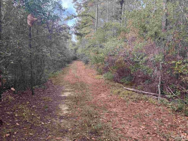 0 Ryan Rd, Crestview, FL 32539