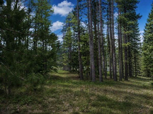 6180 N Roscommon Road, Roscommon, MI 48653