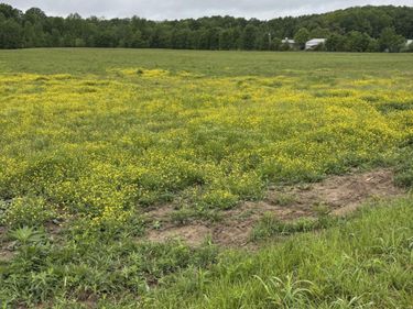 1075 Patterson Road, Russell Springs, KY 42642