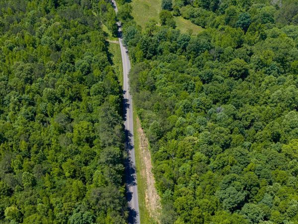 53 ACRES Beason Cove Road, Steele, AL 35987