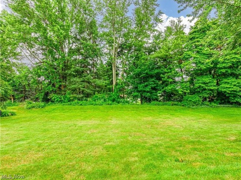 893 West Street Street, Wadsworth, OH 44281 Photo 4
