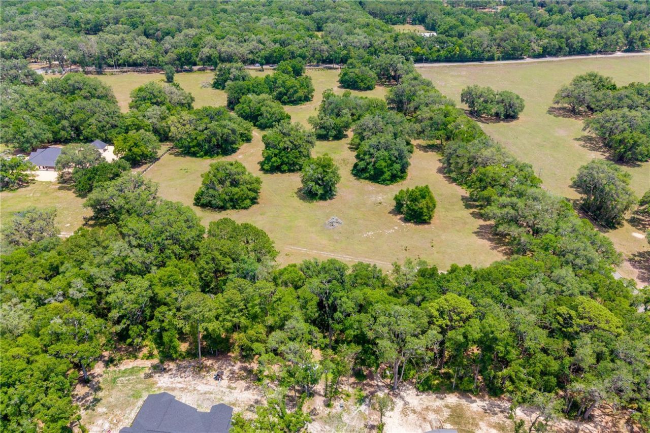 Tbd SW 170th Street , Newberry, FL 32669 Photo