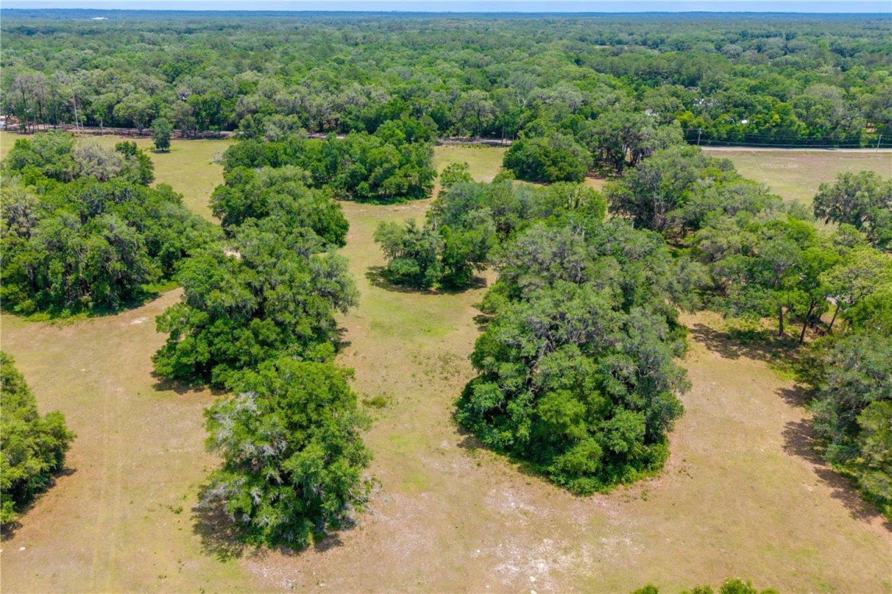 Tbd SW 170th Street , Newberry, FL 32669 Photo