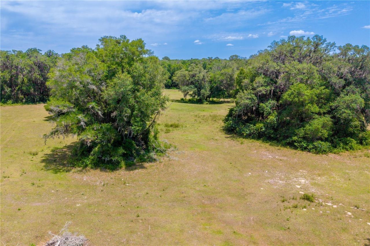 Tbd SW 170th Street , Newberry, FL 32669 Photo