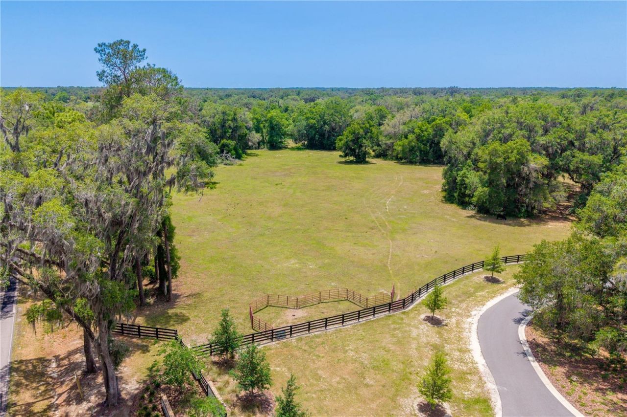 Tbd SW 170th Street , Newberry, FL 32669 Photo