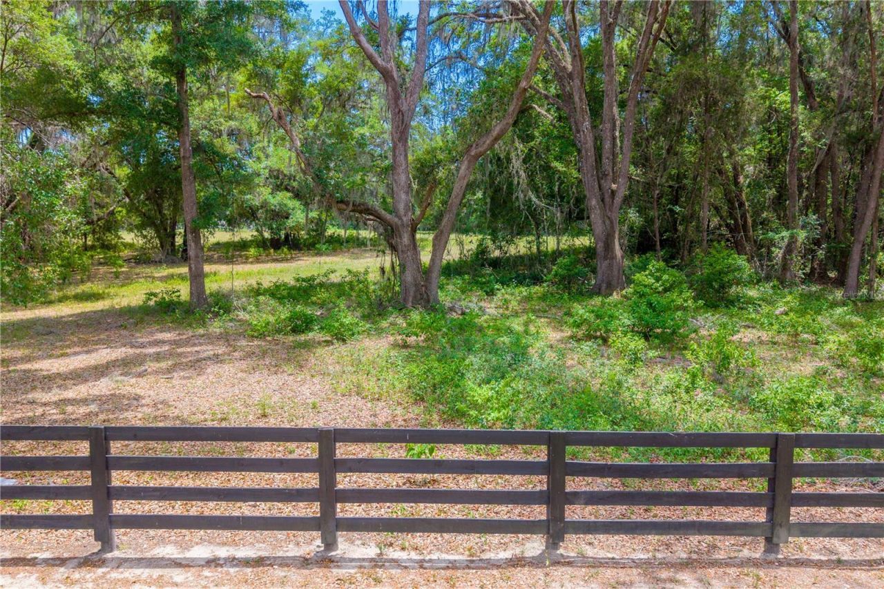 Tbd SW 170th Street , Newberry, FL 32669 Photo
