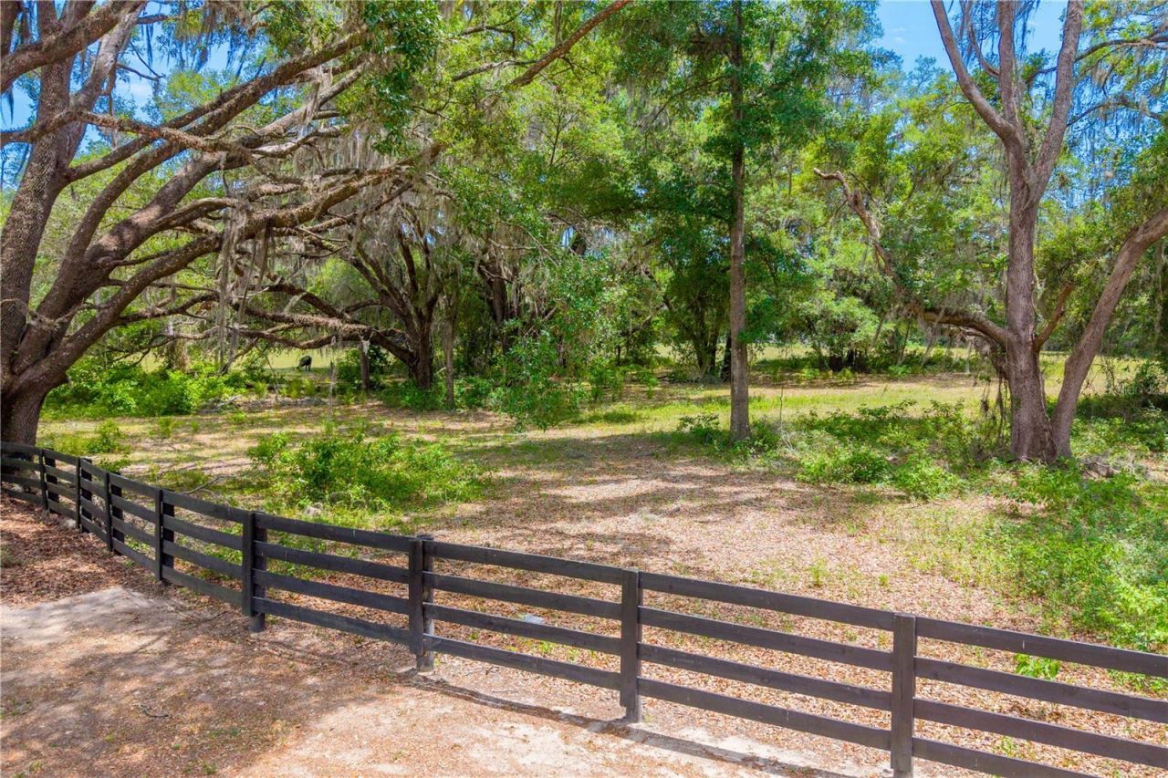 Tbd SW 170th Street , Newberry, FL 32669 Photo