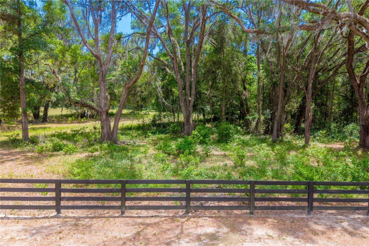 Tbd SW 170th Street , Newberry, FL 32669 Photo
