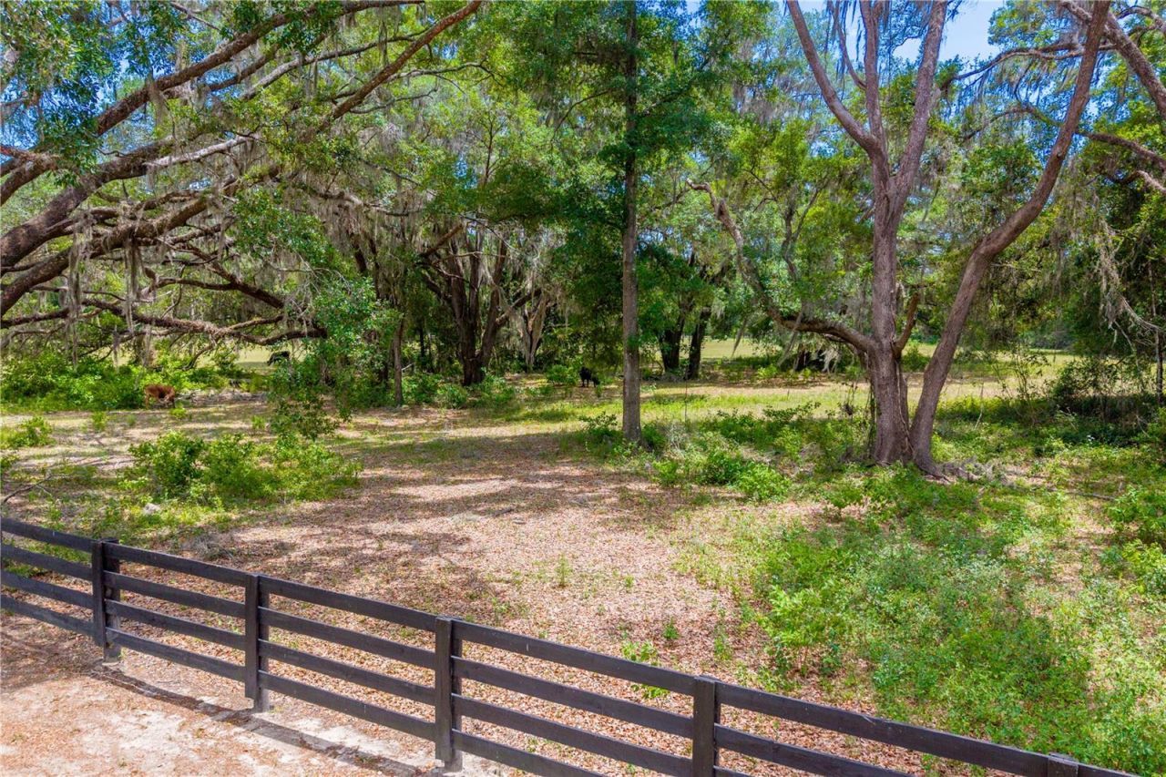 Tbd SW 170th Street , Newberry, FL 32669 Photo