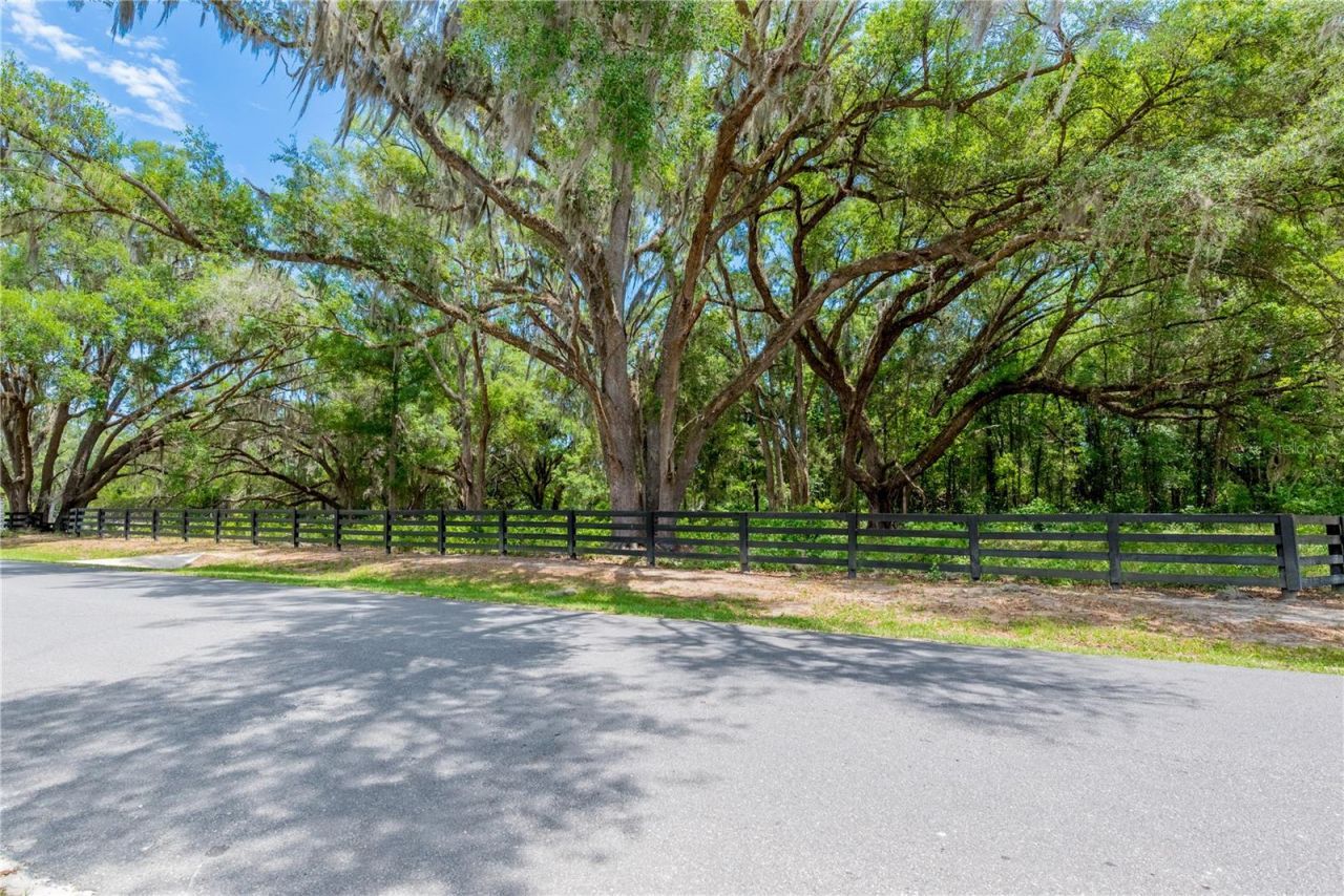 Tbd SW 170th Street , Newberry, FL 32669 Photo