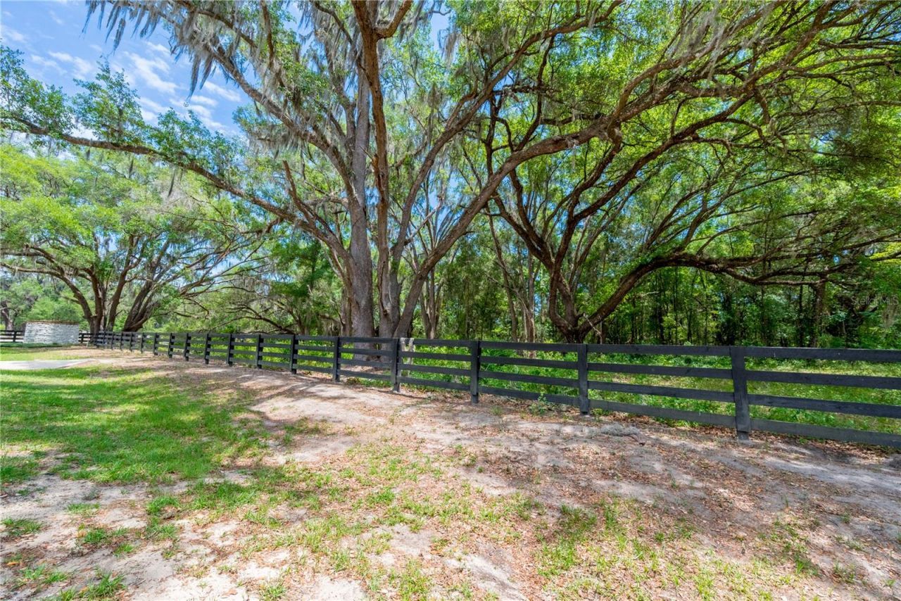 Tbd SW 170th Street , Newberry, FL 32669 Photo