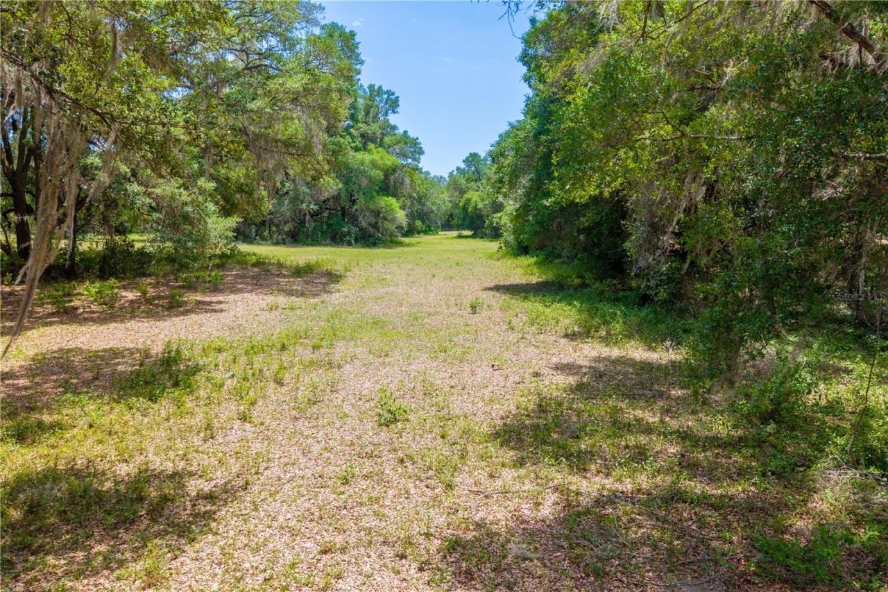 Tbd SW 170th Street , Newberry, FL 32669 Photo