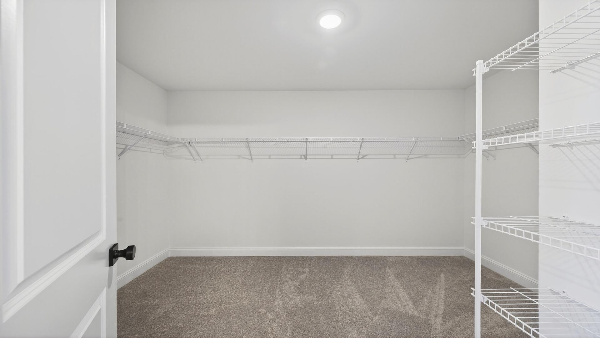 477 Cadbury Loop Photo 22