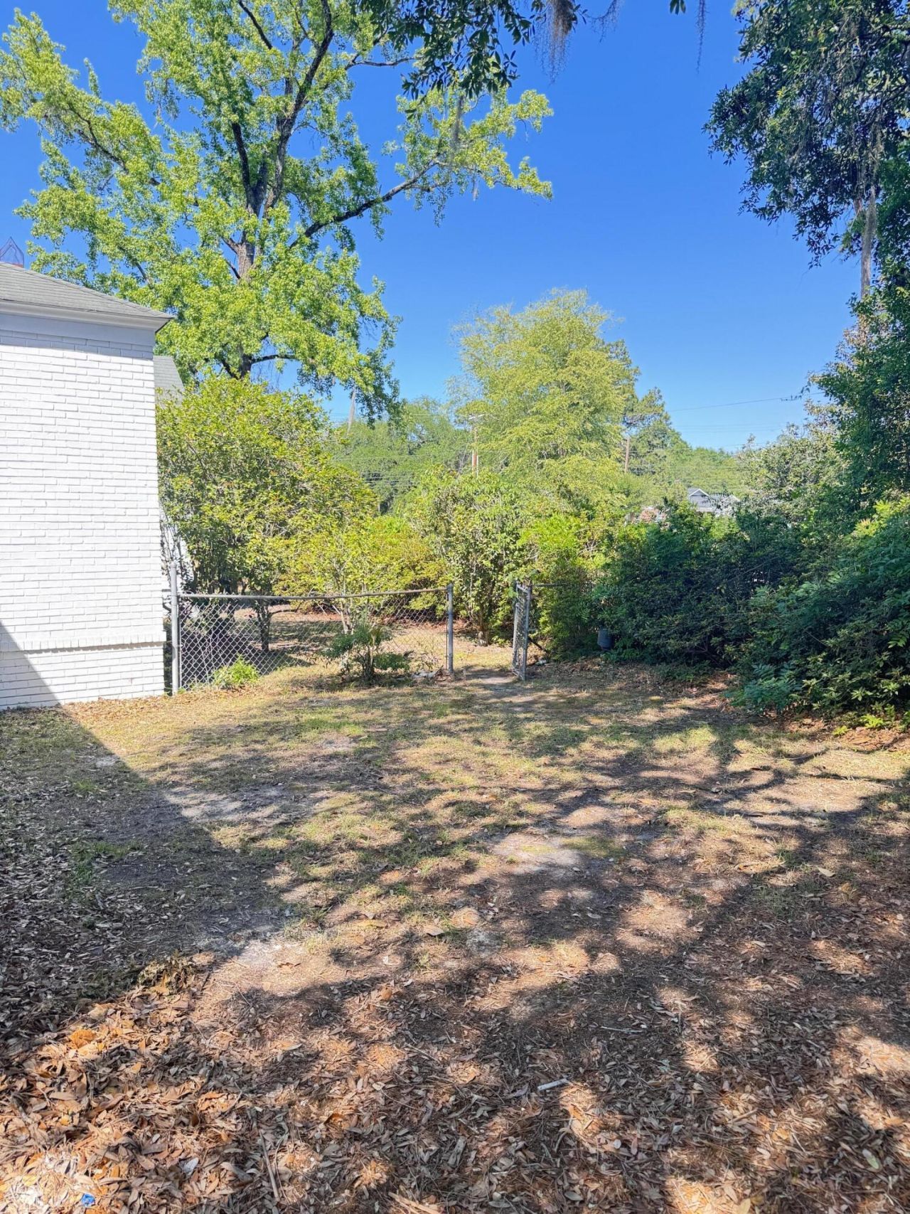800 Hampton Street Photo 19