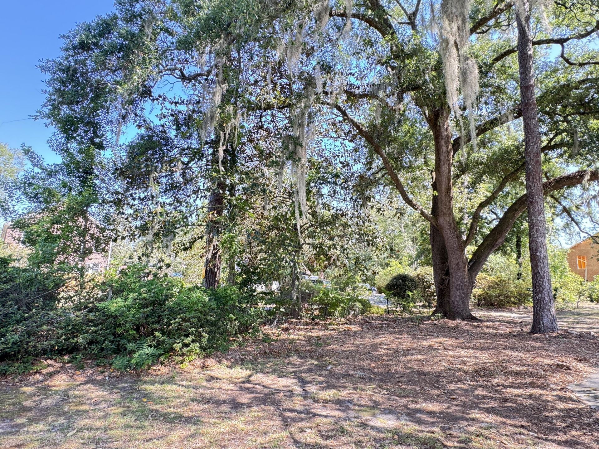 800 Hampton Street Photo 20