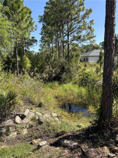 1011 Kent St E, Lehigh Acres, FL 33974 Photo