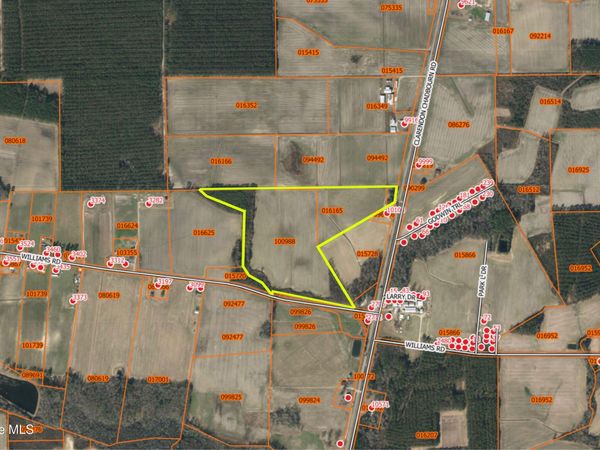 0 Clarendon-Chadbourn Road, Clarendon, NC 28432