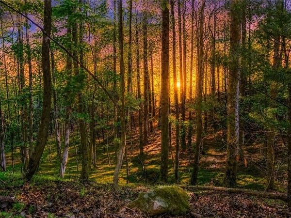 Lot 26 Estates Drive, Ellijay, GA 30536