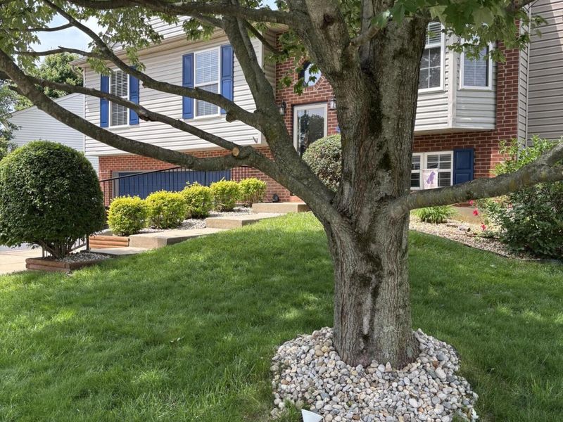2540 Aly Sheba Drive, Burlington, KY 41005 Photo 4