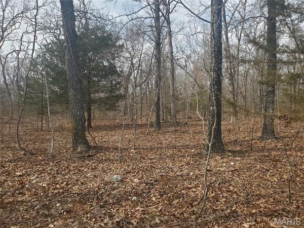 0 S Highway 17 , Laquey, MO 65534